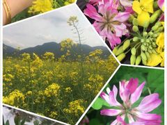 -古田会议纪念馆