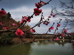 -杭州六谷生态休闲农庄有限公司