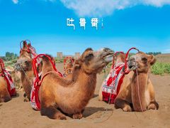 -火焰山景区(火焰山镇)