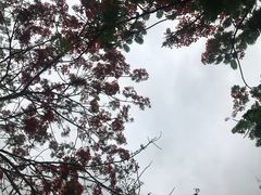 -白沙门生态公园