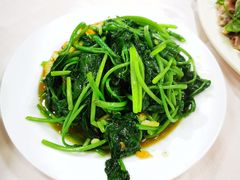 -陈记粤湛鸡饭店