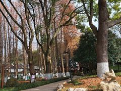-瀛洲公园