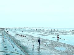 -天津东疆湾沙滩景区