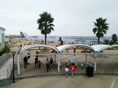 -碧海金沙