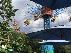 -哈尔滨文化公园