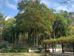 -深圳国际园林花卉博览园