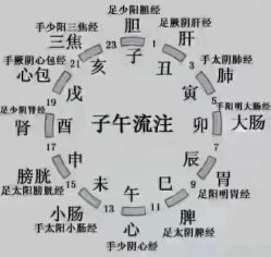 -香薇妮丝女子减肥院