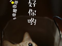 -星巴克(朵云轩店)