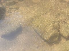 -广州白江湖森林公园