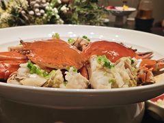 -桂满陇·海市蜃楼·黑金(国金店)