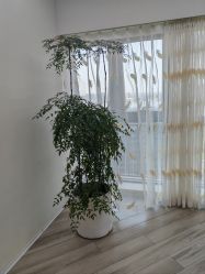 -HEYAN荷妍专业脱毛连锁机构