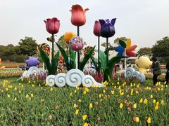 -上海鲜花港