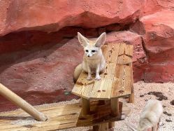 -Zoolung Zoolung动物主题公园(海信广场店)