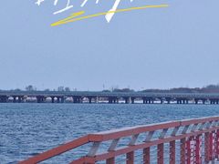 -丁香湖公园