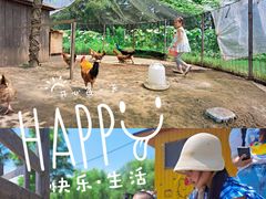 -前小桔亲子创意农场·草莓采摘·露营烧烤