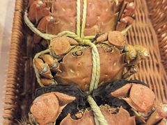 -乡乐园蟹庄·阳澄湖农家乐