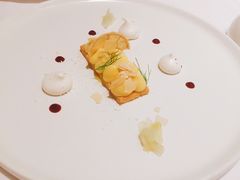 柠檬挞-蝶舍·MAISON PAPILLON