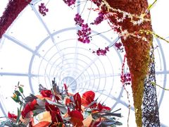 -深圳国际园林花卉博览园