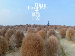 -径山花海