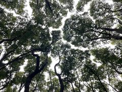 -同里国家湿地公园