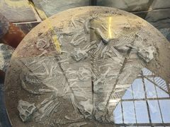 -房山世界地质公园博物馆