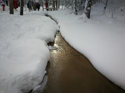 -大秃顶子山