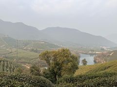 -听风阁农家私房菜茶楼(龙坞店)