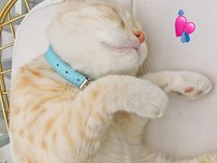 -小时光咖啡馆(北锣鼓巷店)