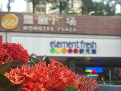 -皇庭广场(福华三路店)