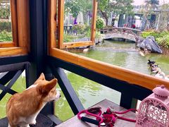 -花溪雨·森林餐厅(石基店)
