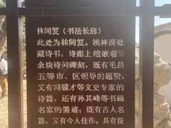-桃花堤公园