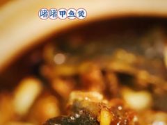 -金龙·打边炉(南京西路店)