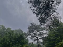 -杭州植物园