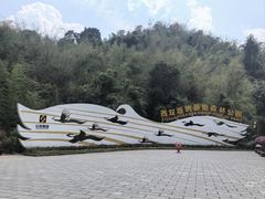 -西双版纳原始森林公园