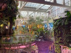 -正佳雨林生态植物园