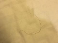 -桔子酒店(天津五大道店)