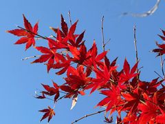 -平安里(地铁站)