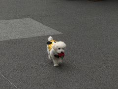 -龙湖杭州滨江天街