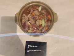 -广东中医药博物馆