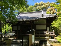 -醍醐寺