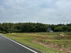 -宜兴龙背山森林公园