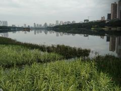 -南宁南湖公园