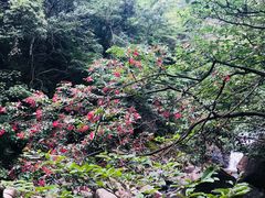 -白云源风景区