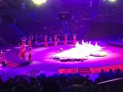 -珠海横琴长隆《卡卡虎奇遇记》