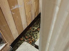 -邈墨茶馆(凤起路店)