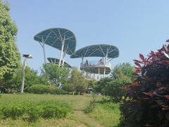 -铁山坪森林公园