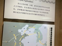 -烟台市博物馆