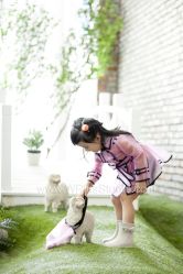 点击看大图 09-20晨惜小美女4岁拍摄a-WPlus明星肖像亲子全家福摄影
