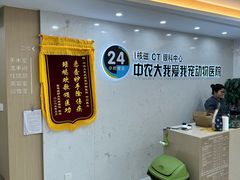 -中农大我爱我爱24h动物医院·中医针灸·猫专科·骨科医疗中心(双井店)