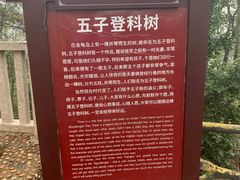 -石燕湖生态旅游景区